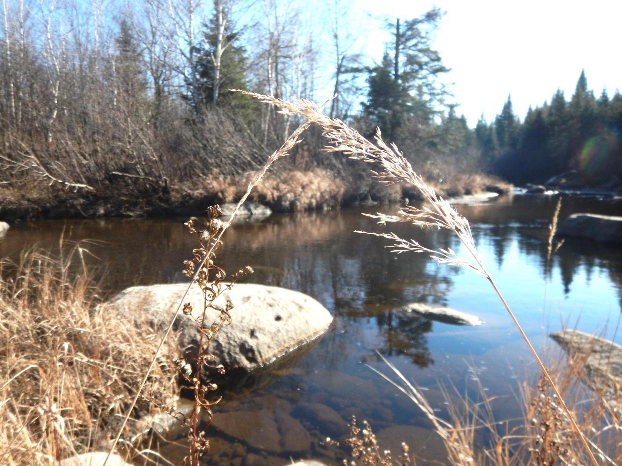생로만 Aux Tipis De La Riviere Sauvage 빌라 외부 사진